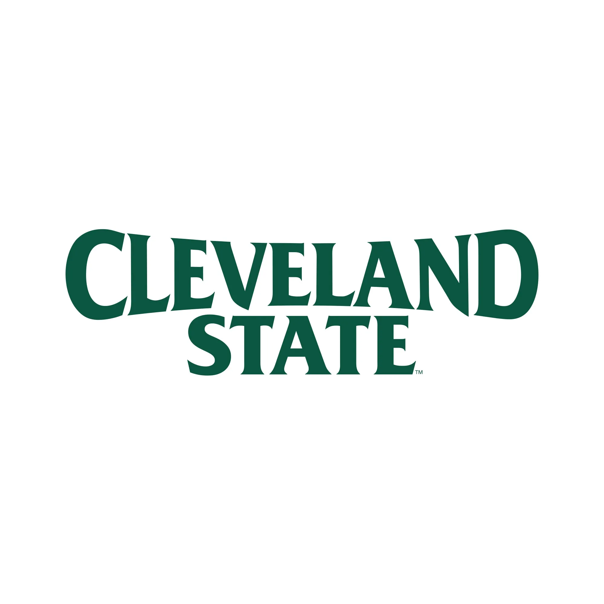 Cleveland State Vikings Basic Block T Shirt - White