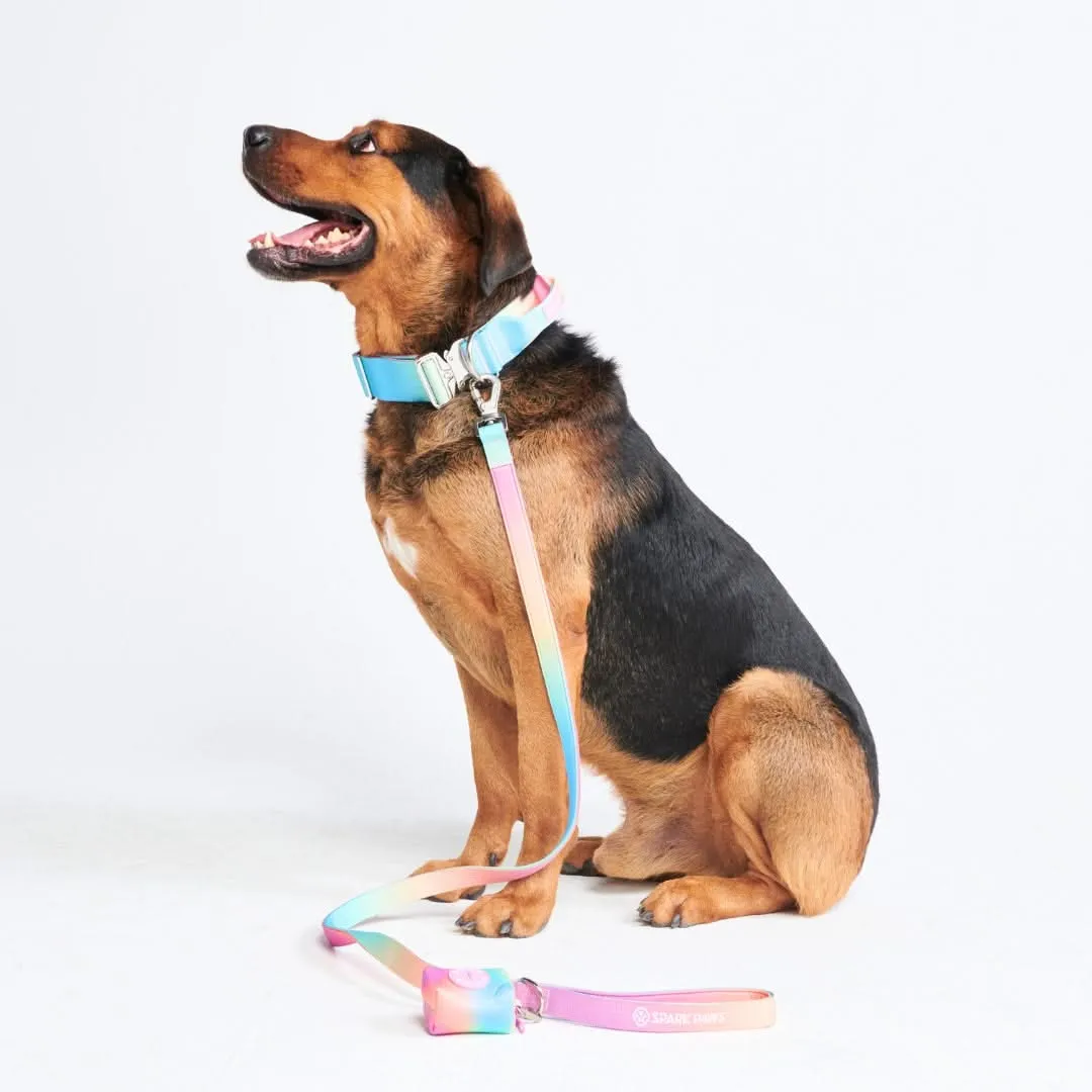 Comfort Control Dog Collar Sets