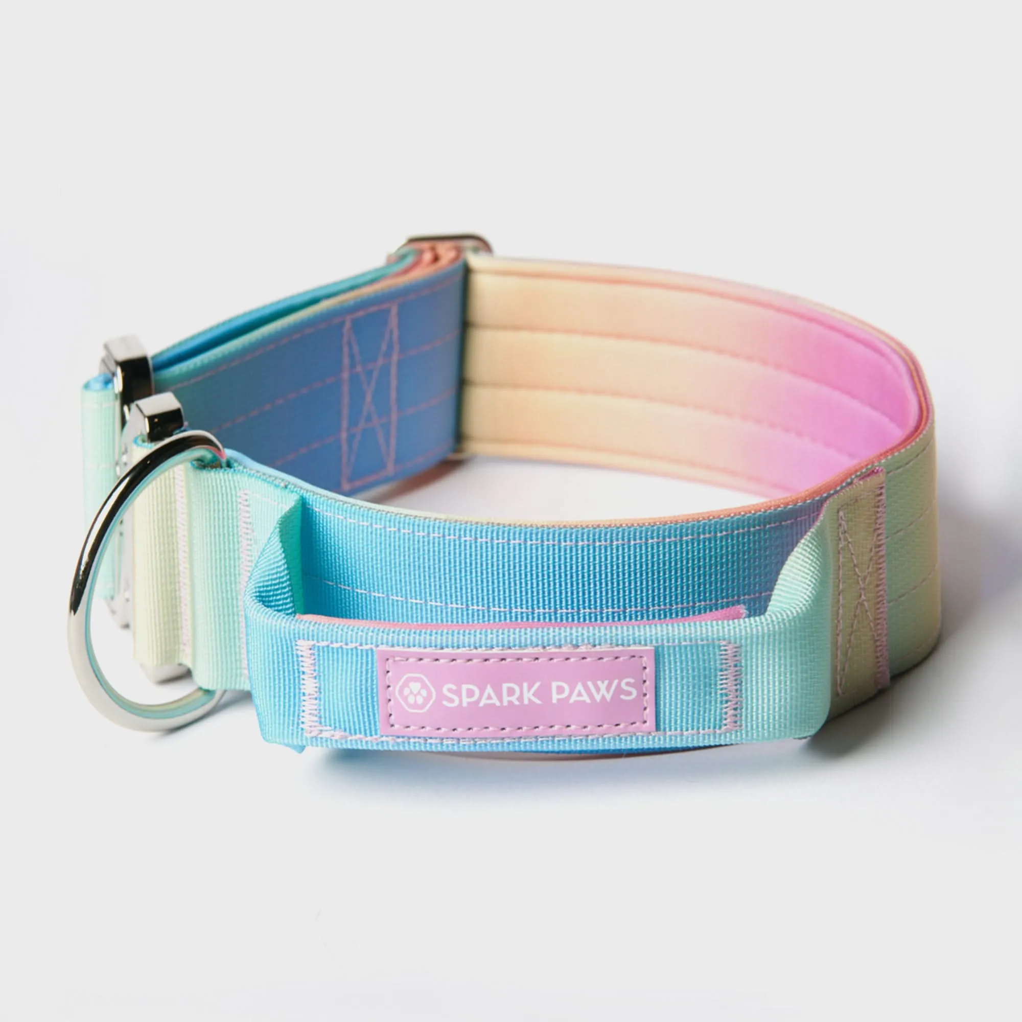 Comfort Control Dog Collar Sets