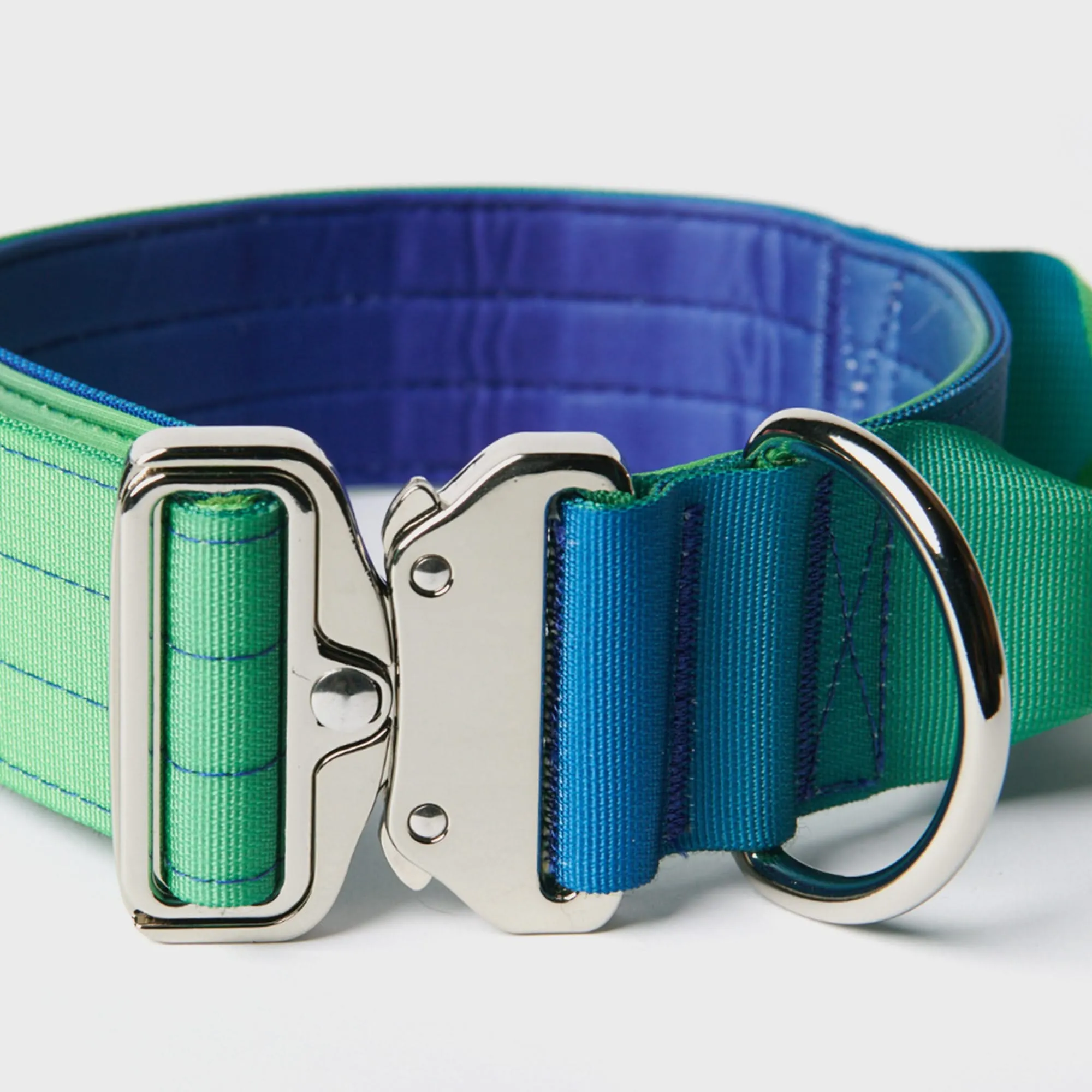 Comfort Control Dog Collar Sets