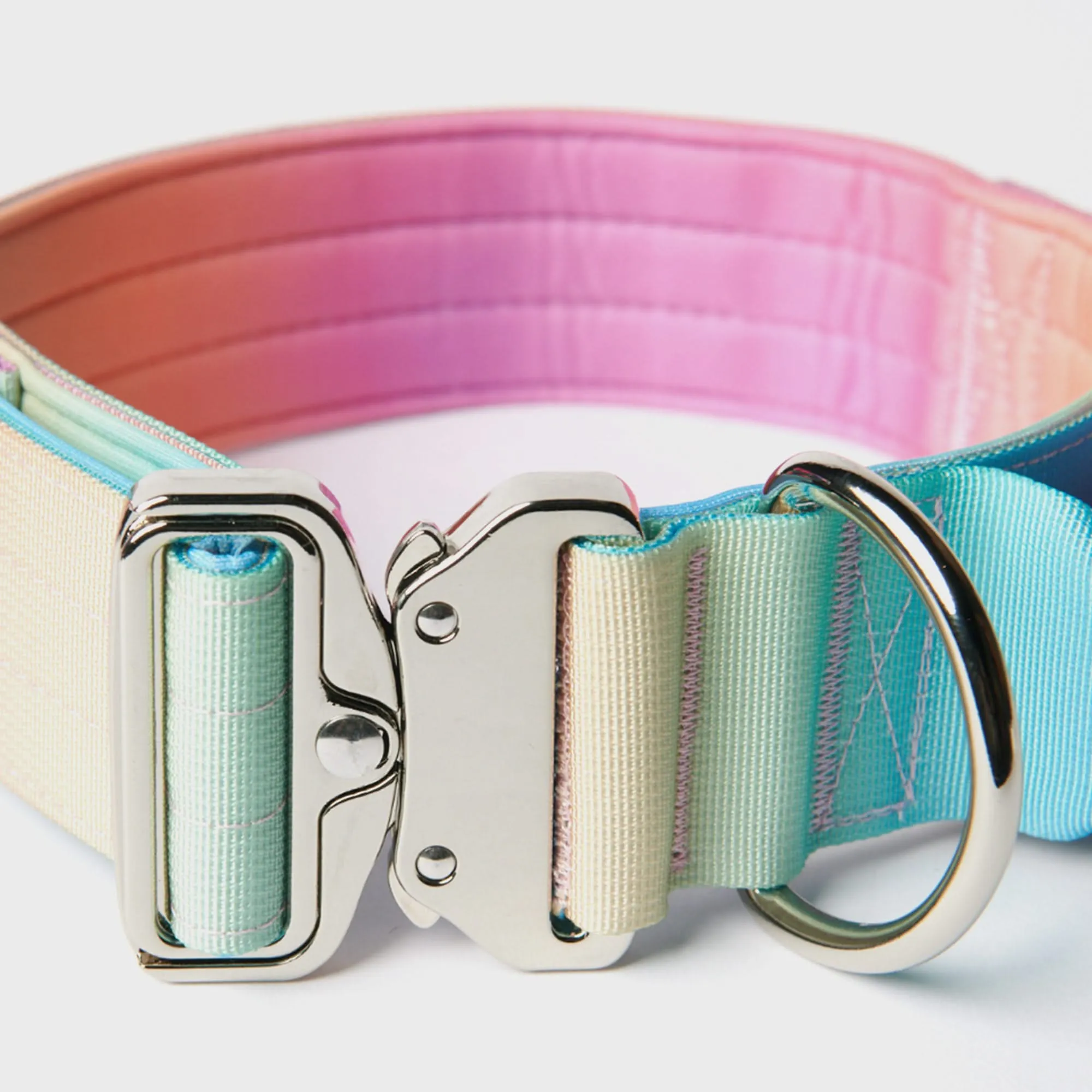 Comfort Control Dog Collar Sets