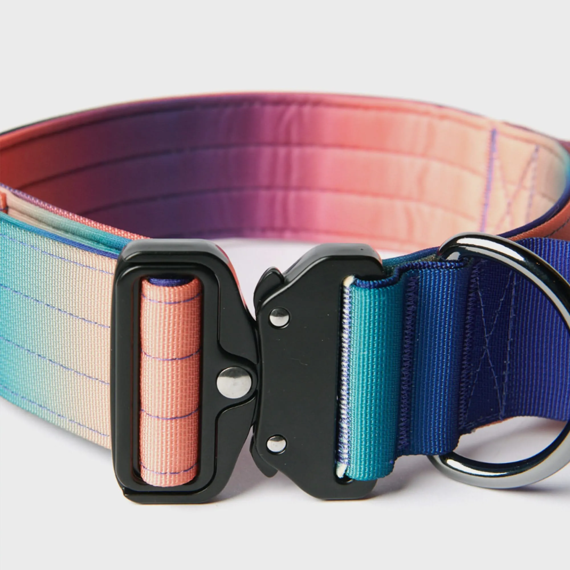 Comfort Control Dog Collar Sets