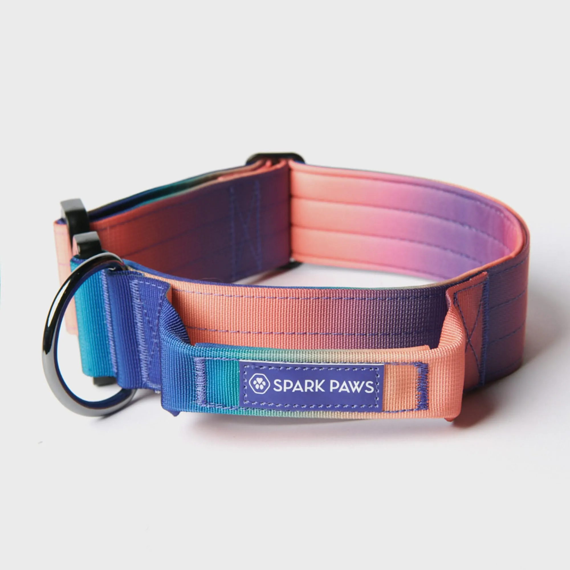 Comfort Control Dog Collar Sets