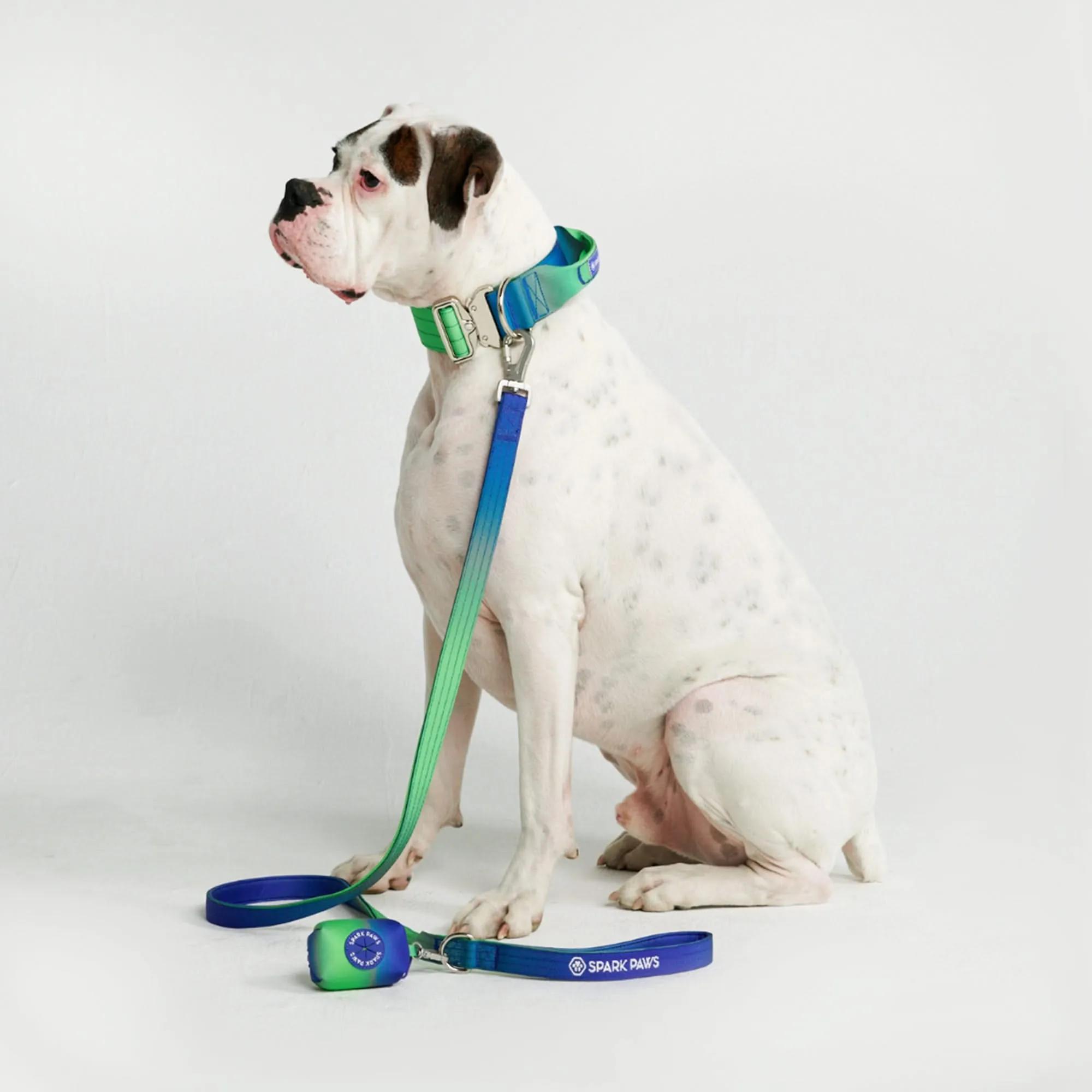 Comfort Control Dog Collar Sets