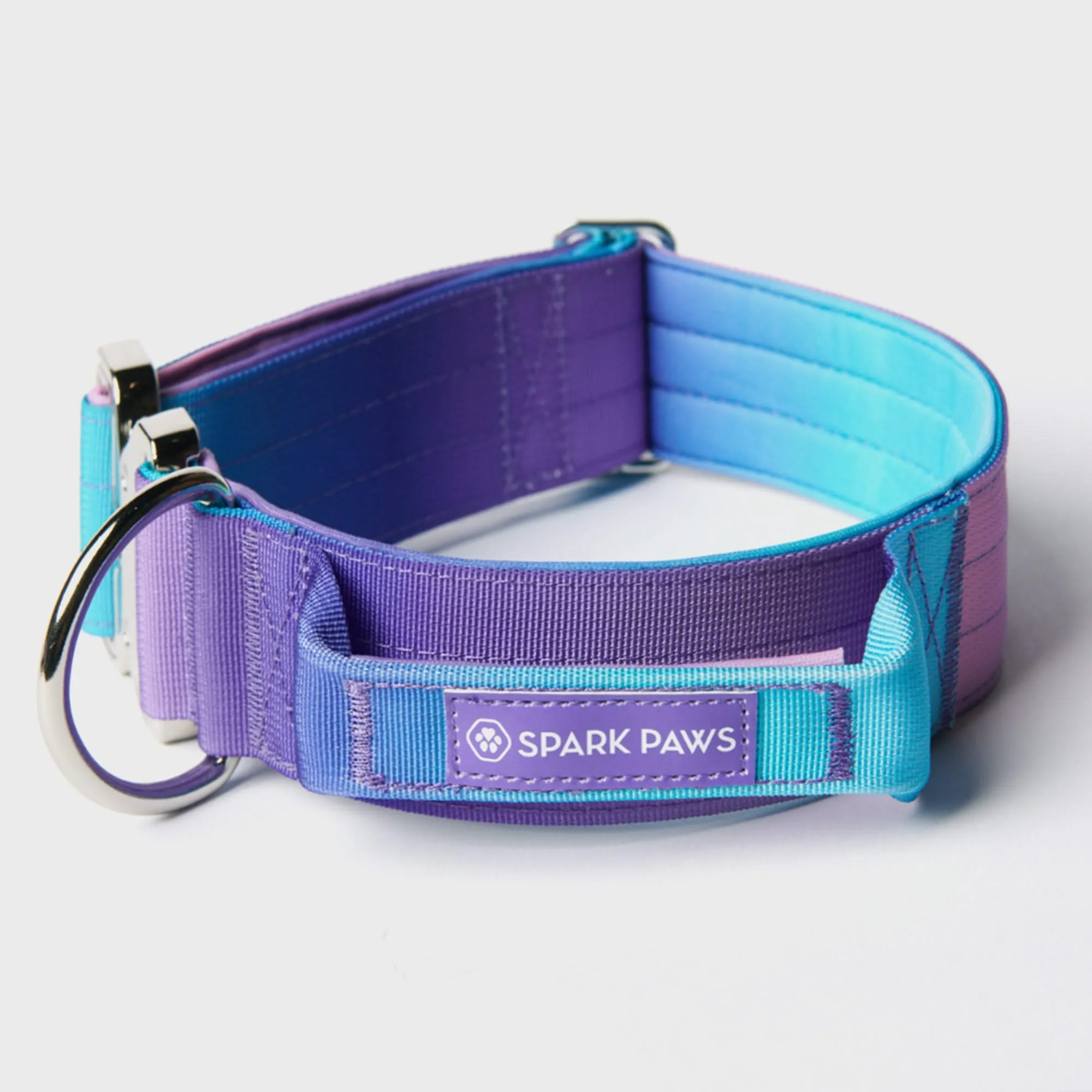 Comfort Control Dog Collar Sets