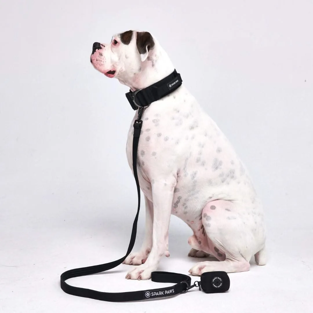 Comfort Control Dog Collar Sets