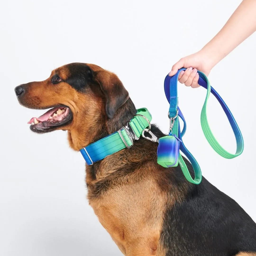 Comfort Control Dog Collar Sets