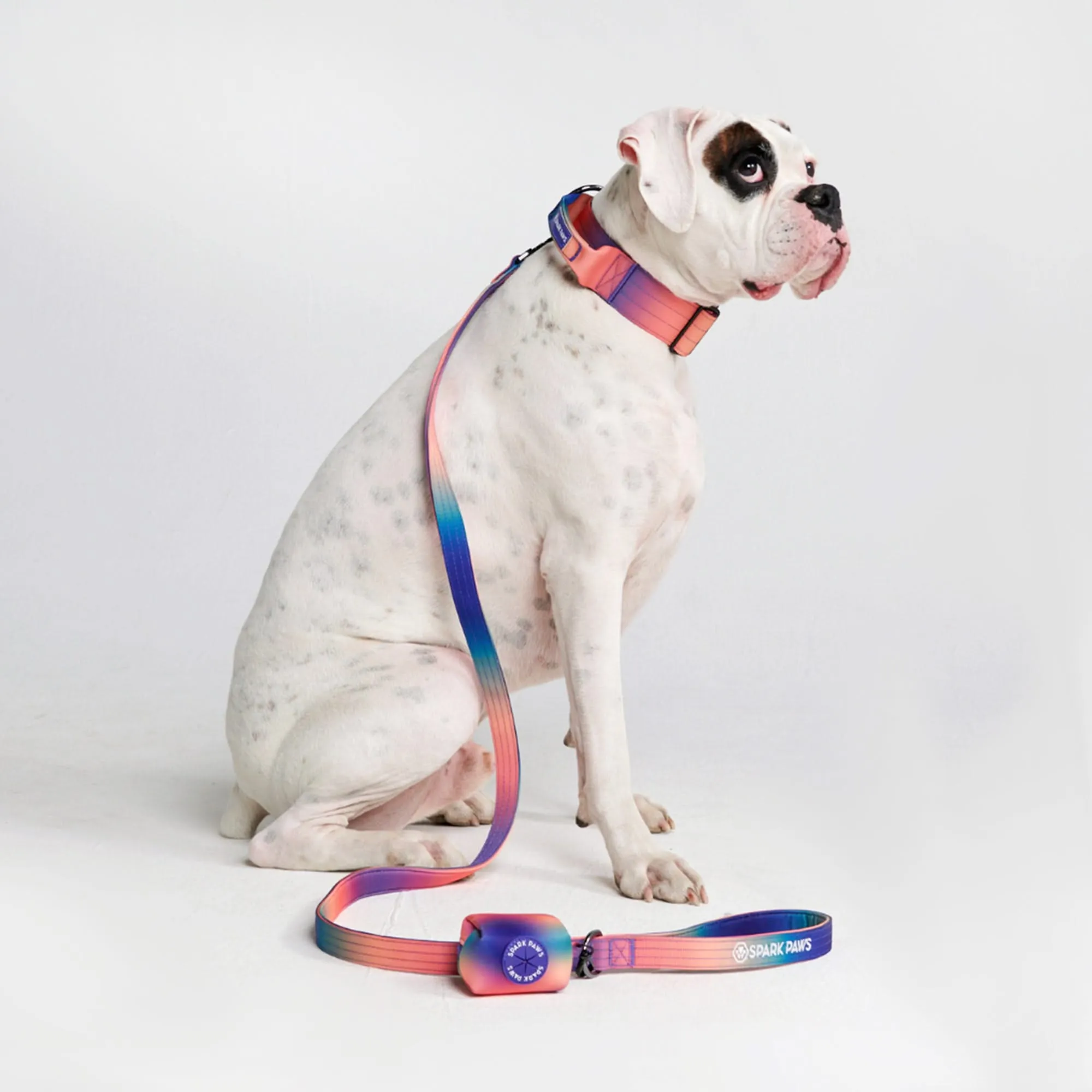 Comfort Control Dog Collar Sets