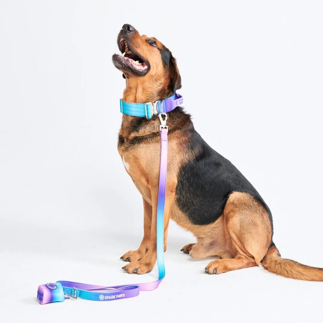 Comfort Control Dog Collar Sets