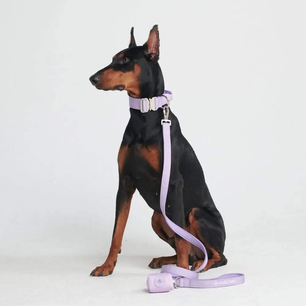 Comfort Control Dog Collar Sets