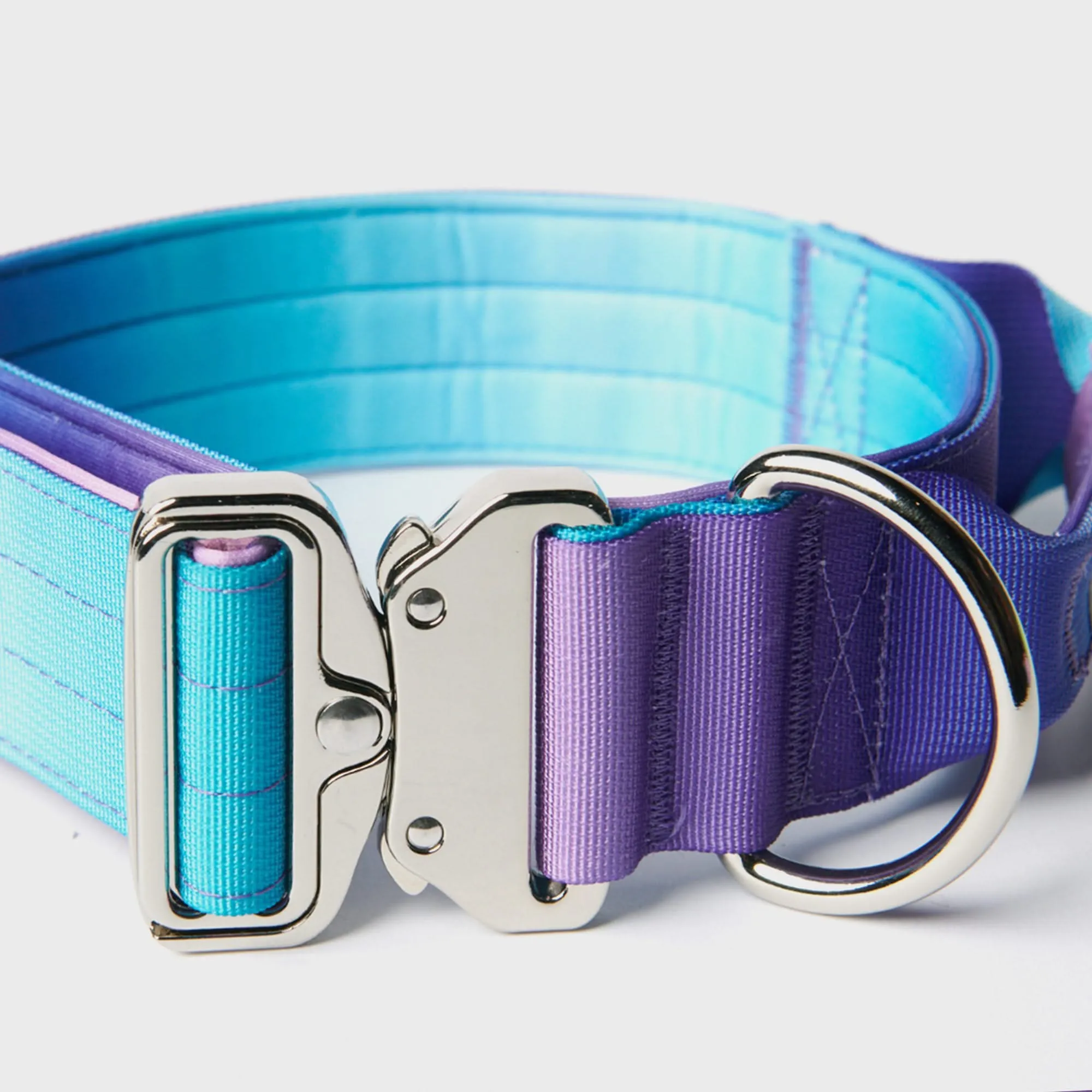 Comfort Control Dog Collar Sets