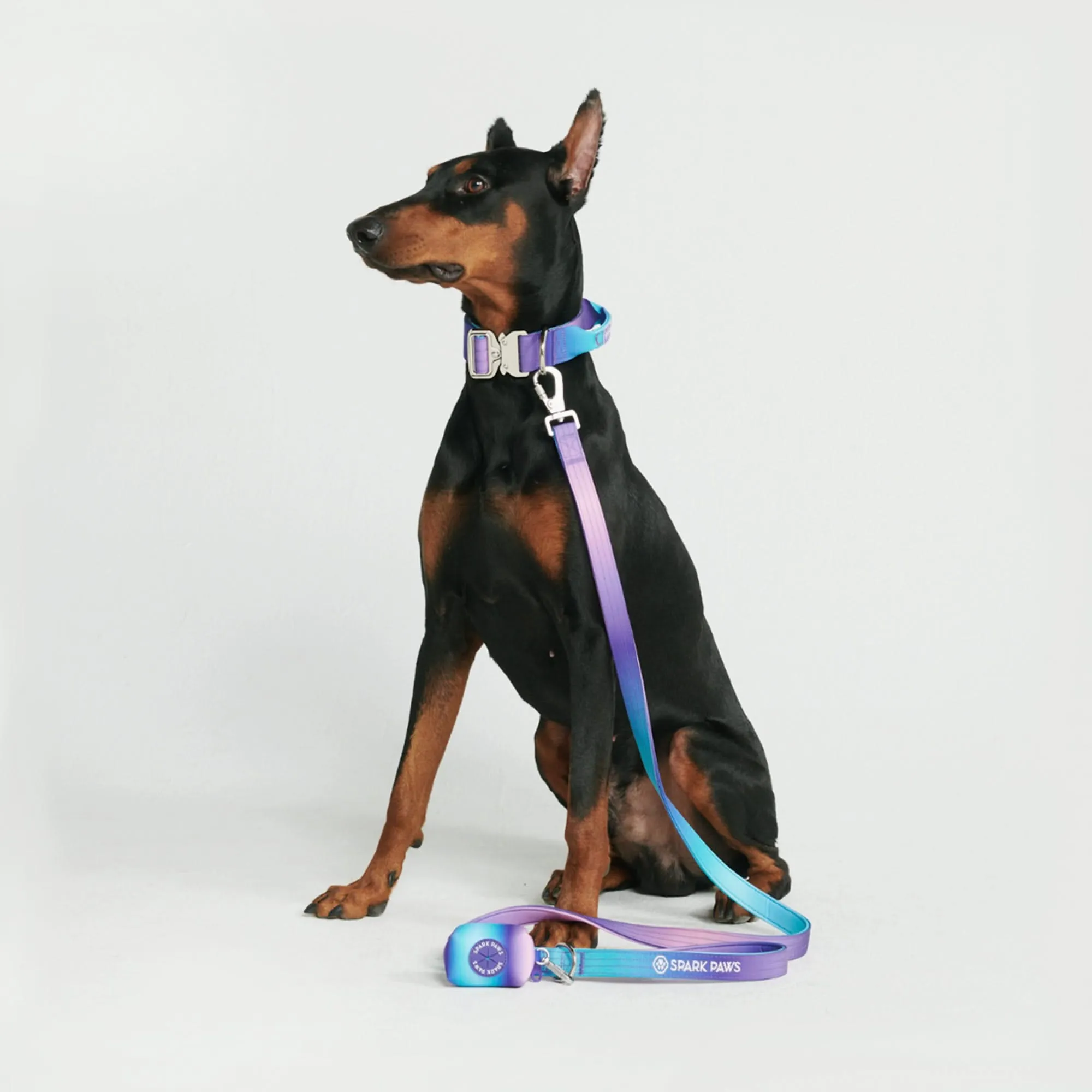 Comfort Control Dog Collar Sets