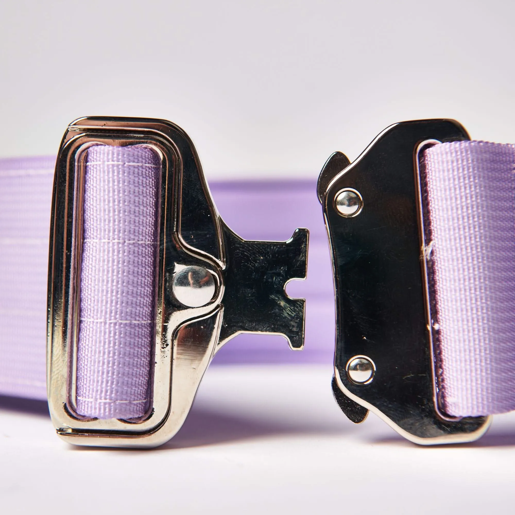 Comfort Control Dog Collar Sets