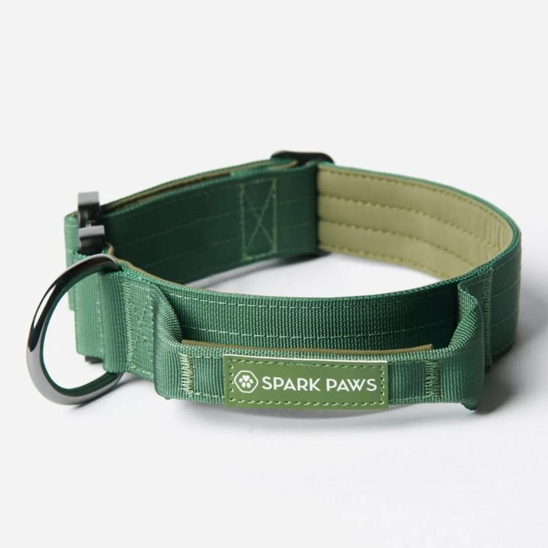 Comfort Control Dog Collar Sets