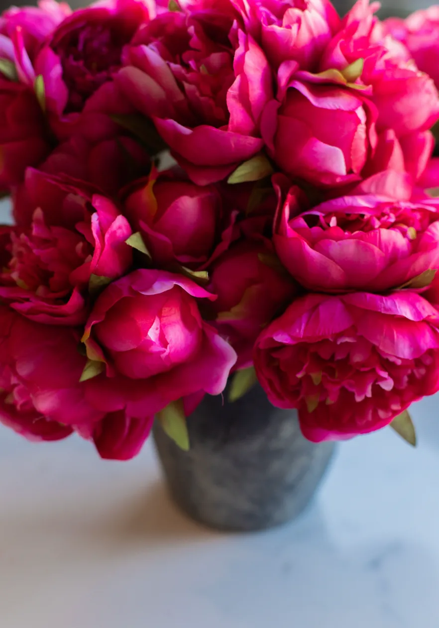 DARK PINK PEONY BUNDLE | 18 STEMS