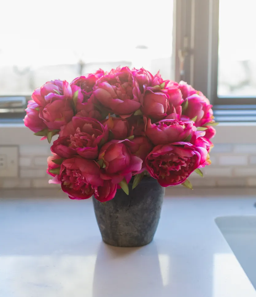 DARK PINK PEONY BUNDLE | 18 STEMS