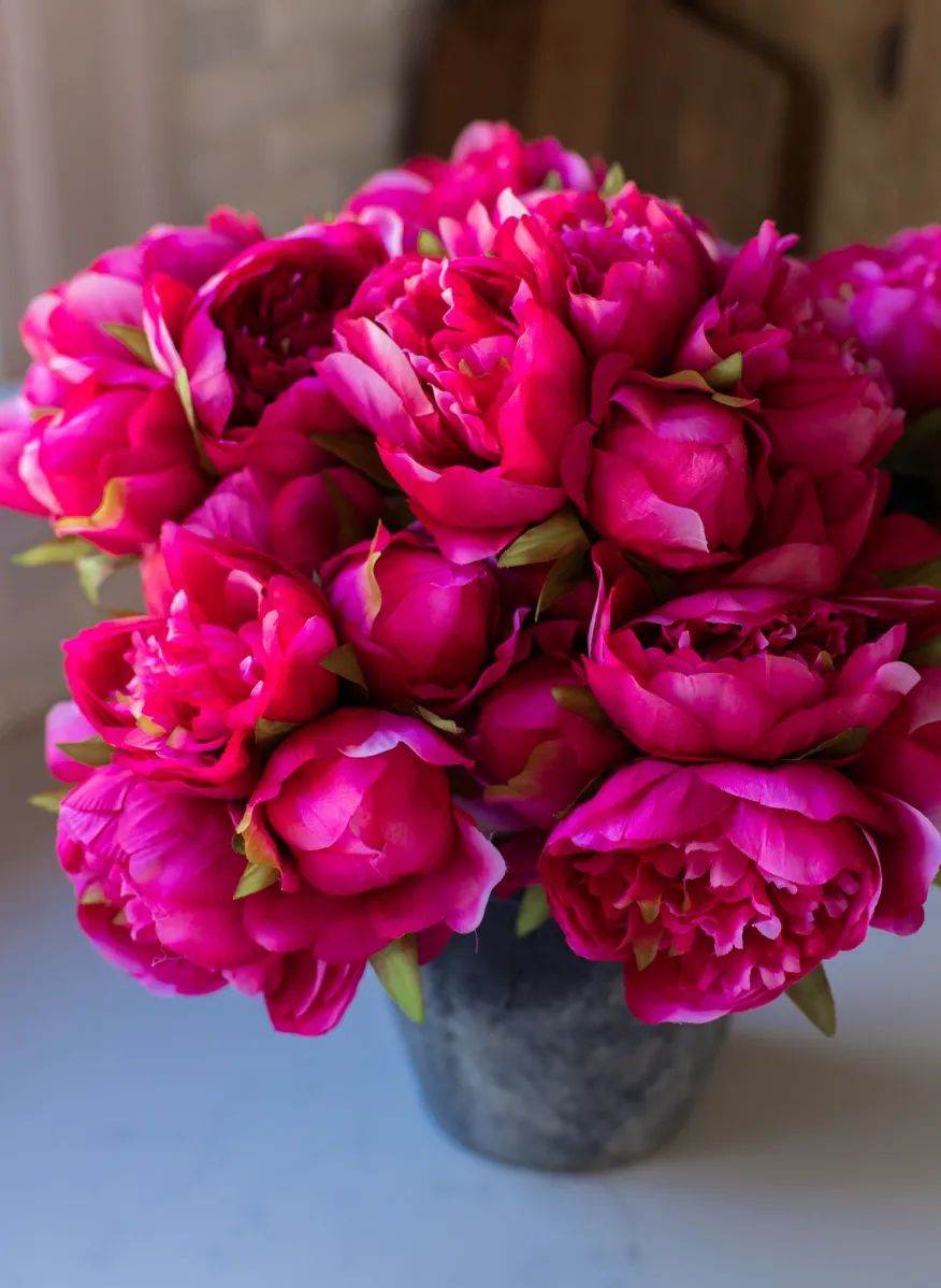 DARK PINK PEONY BUNDLE | 18 STEMS