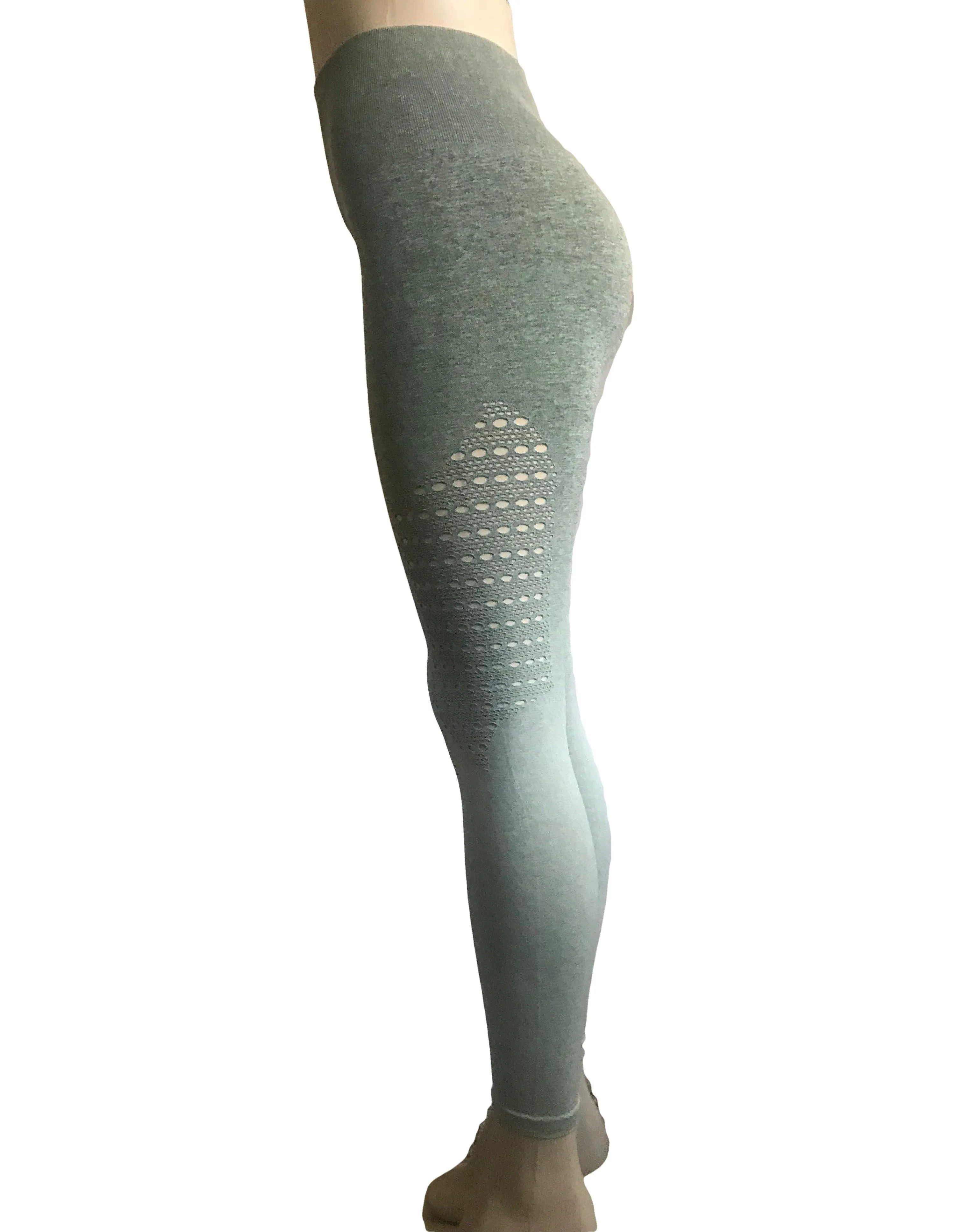 Seamless Booty Ombre Leggings