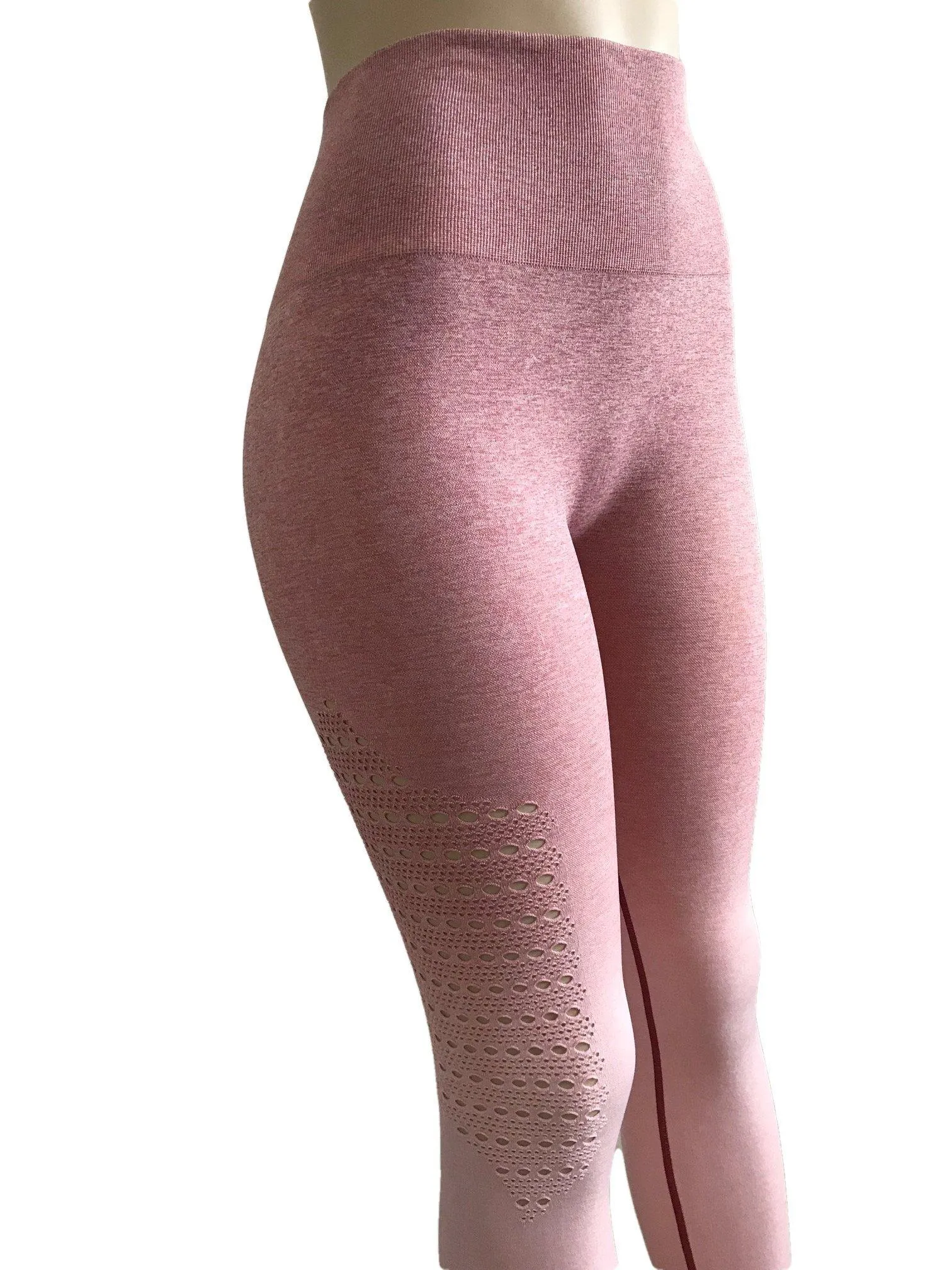 Seamless Booty Ombre Leggings